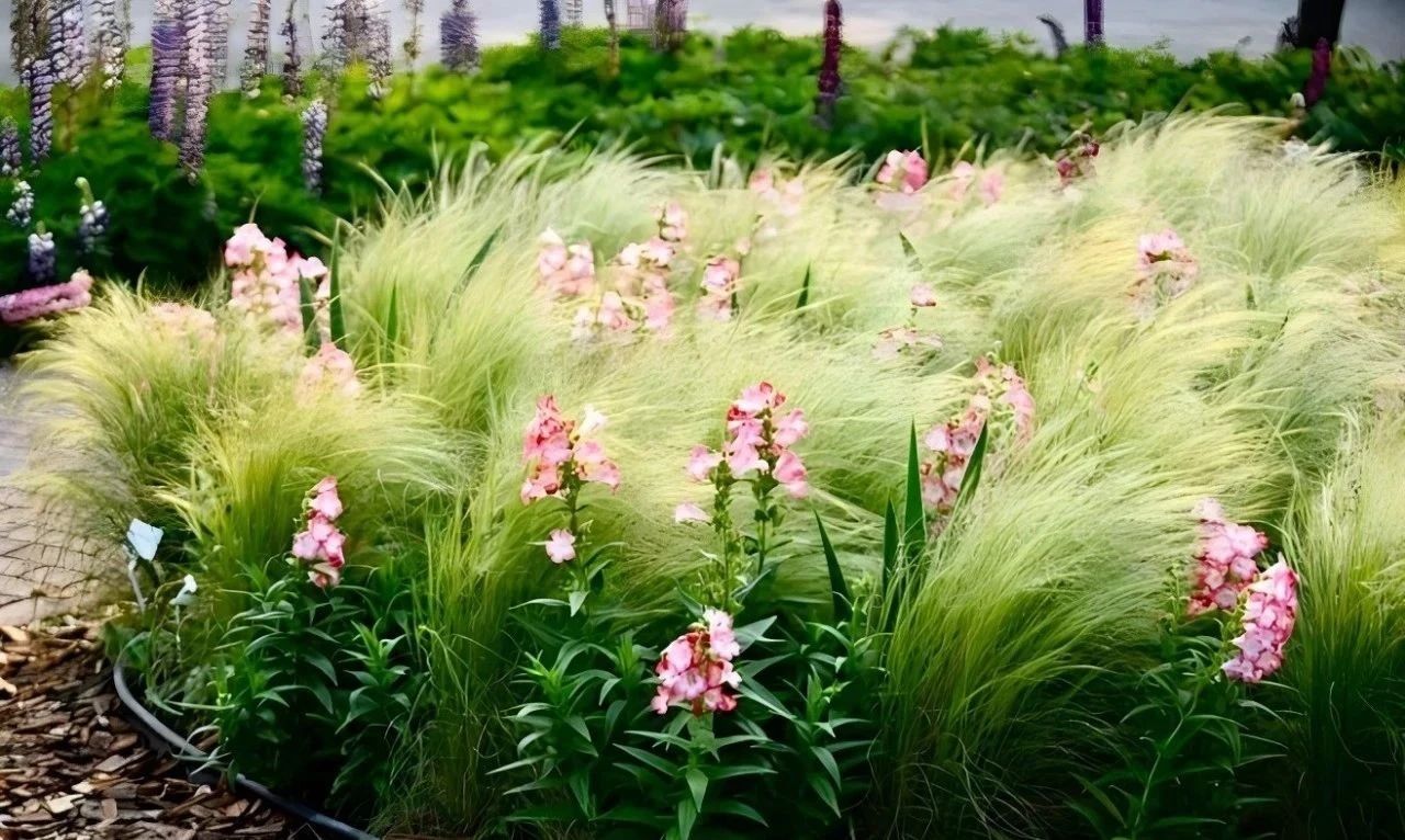 共建親子花園，讓孩子接觸身邊的大自然，度過快樂的戶外時光